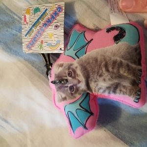 5/25 Nwt! Winged cat back pack clip